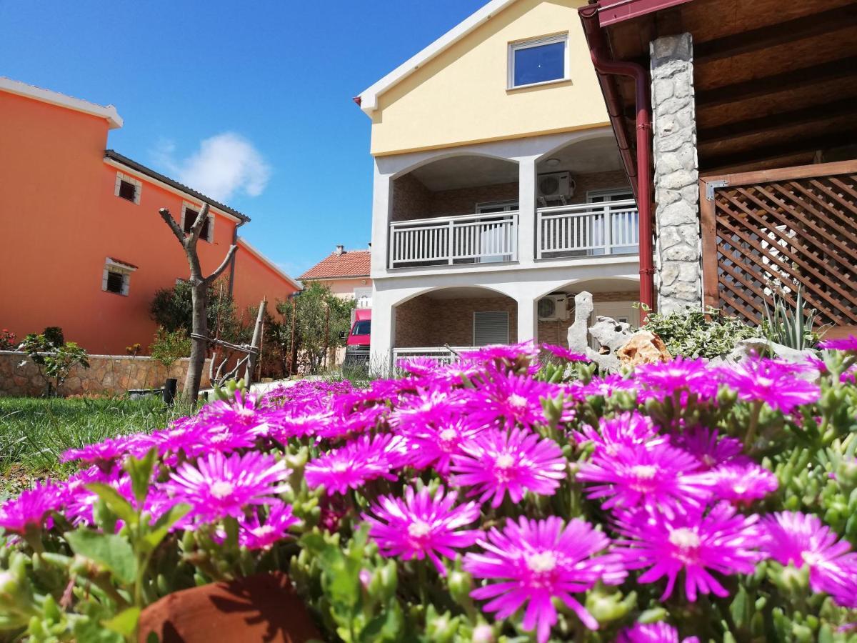 Apartmani Mala Sirena Maslenica Eksteriør billede
